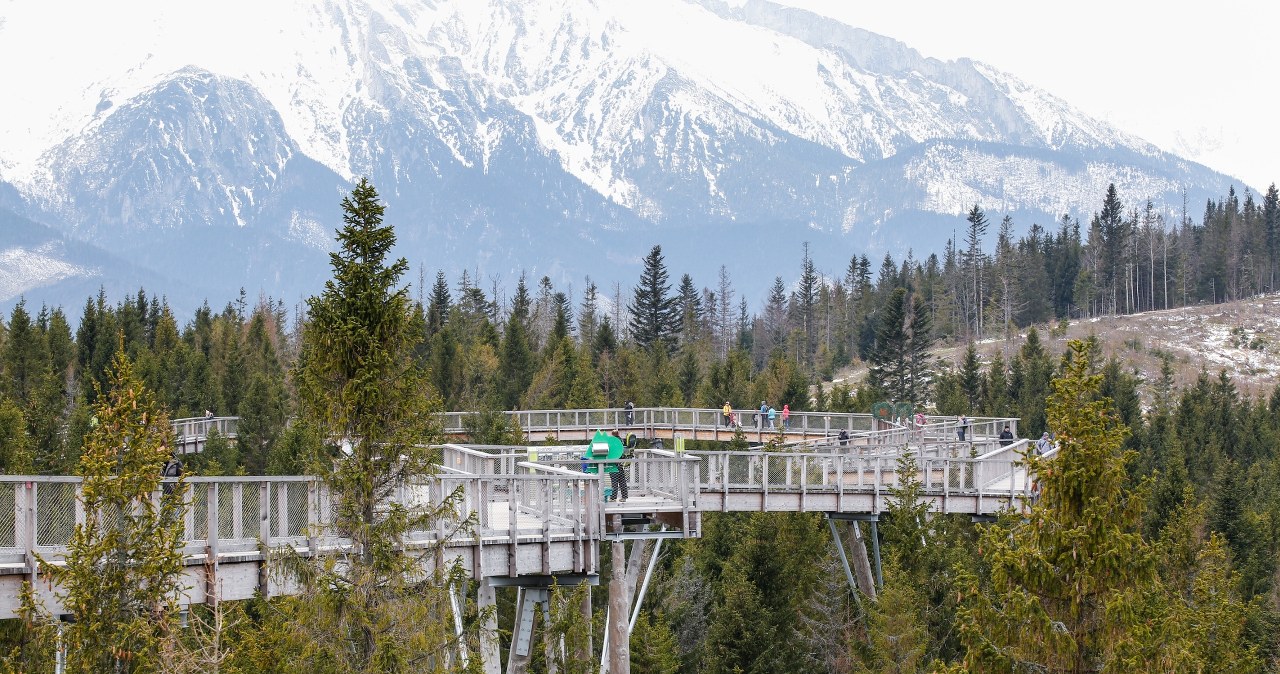 Zdziar to wyjątkowe atrakcje, takie jak ścieżka koronami drzew, która oferuje niepowtarzalne widoki na Tatry /East News