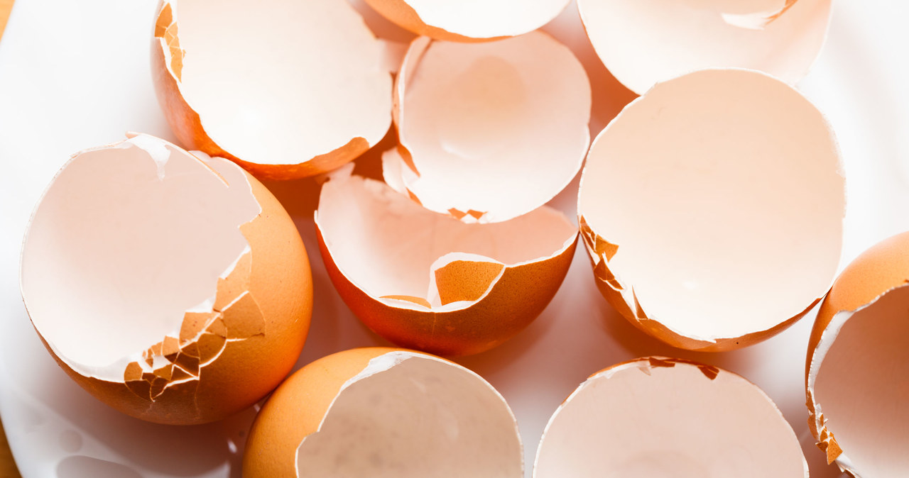 Ze skorupek jajek możemy zrobić domową maseczkę /123RF/PICSEL