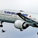 Ze Stambułu do Aleppo w dwie godziny. Turkish Airlines wznowił loty