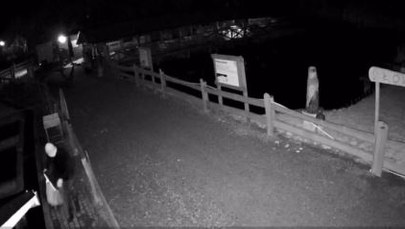 ​Ze stawu hodowlanego ukradł 300 pstrągów