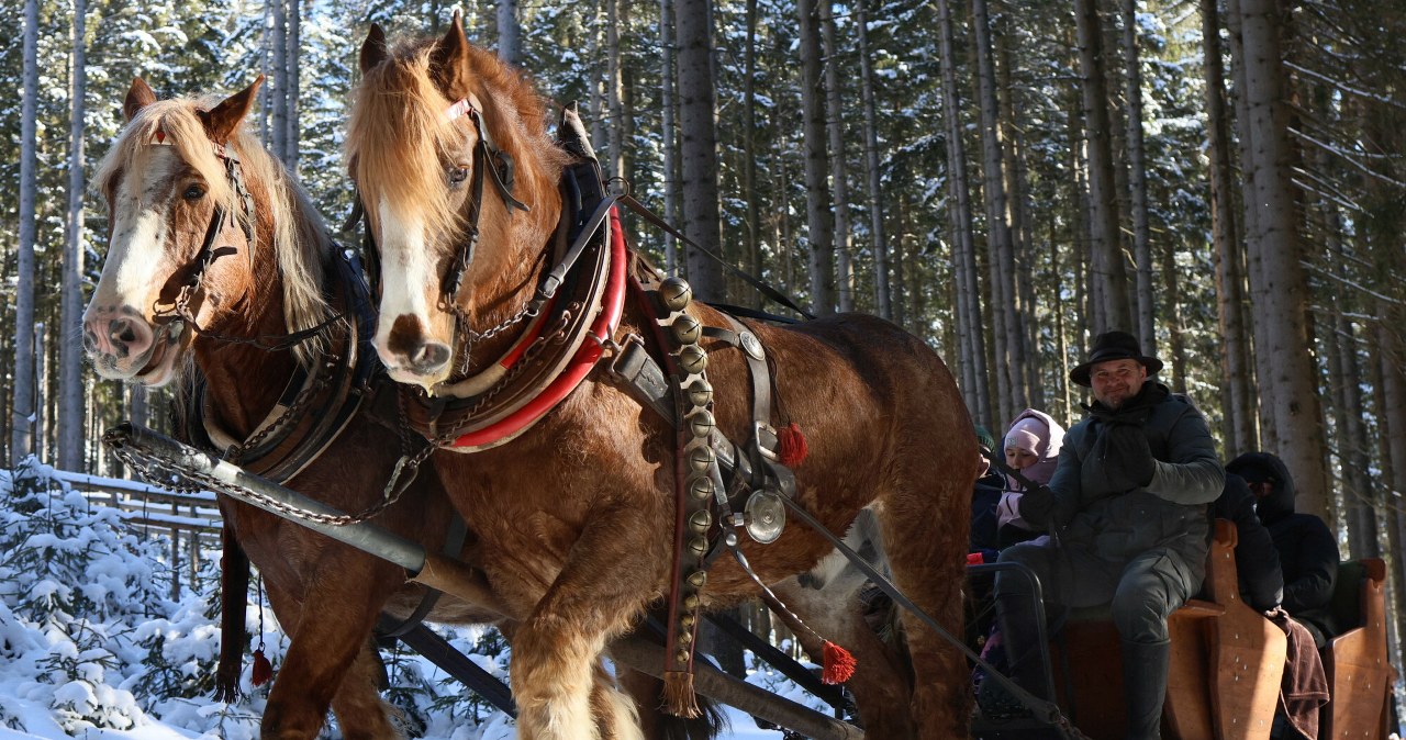 Ze świętami w II Rzeczpospolitej stulatkom kojarzą się sanie /Marcin Rutkiewicz /East News