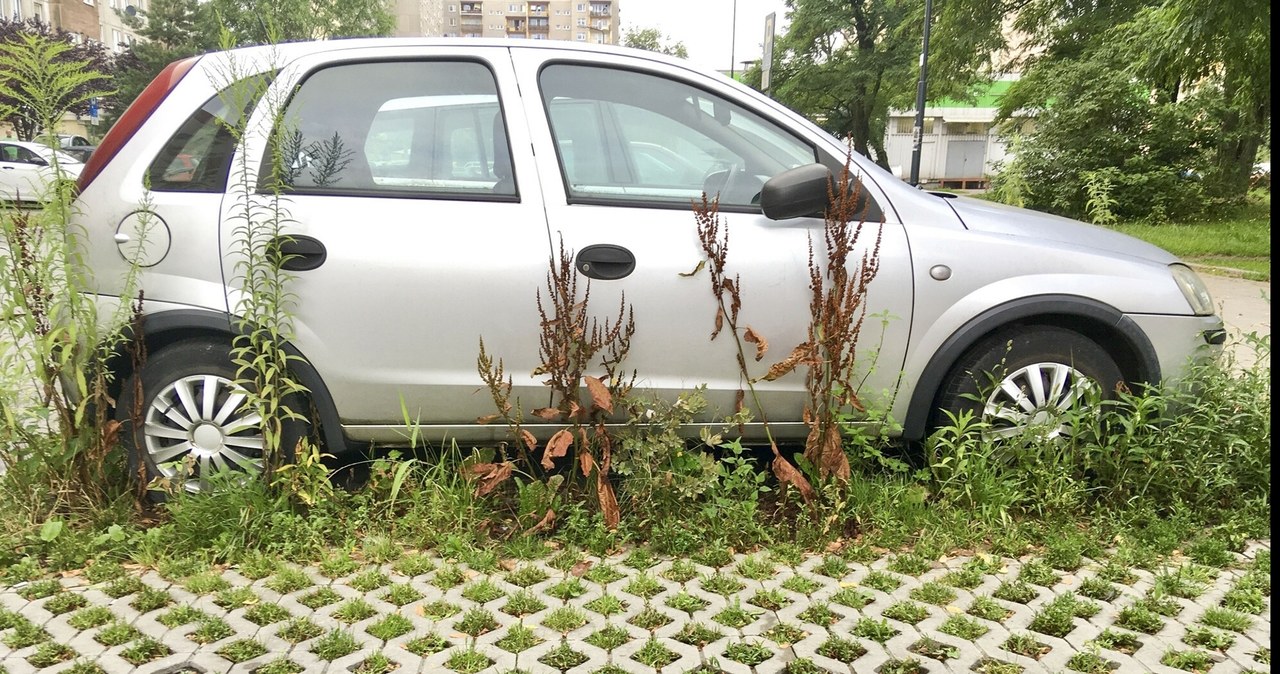 Ze wstępnych kalkulacji wynika, że planowane wygaszenie decyzji o rejestracji obejmie ponad 7 mln pojazdów /Piotr Kamionka /East News