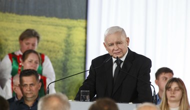 "Ze zbożem będzie jak z węglem". PiS liczy, że opozycja przegrzeje temat