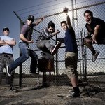 Zebrahead chce spać na polu namiotowym