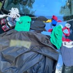 Zebrali się w lesie przy autostradzie. Miało dojść do bijatyki