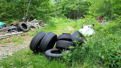 ​Zebrali w lasach ponad 11 tys. zużytych opon