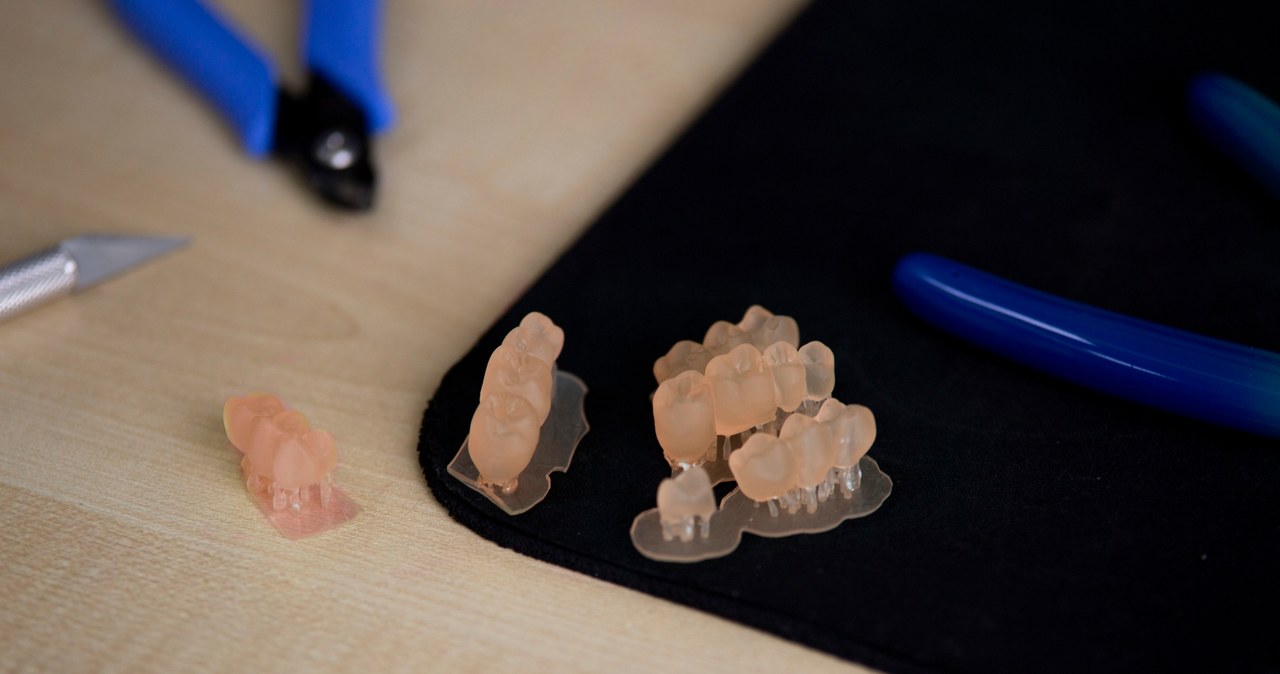 Zęby z drukarki 3D? Teraz to możliwe /materiały prasowe