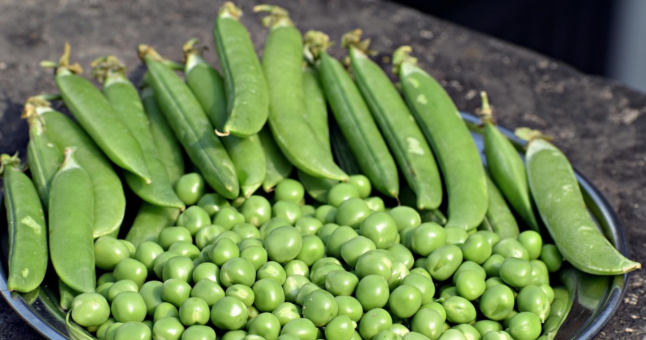 Зелений горошок - у прямому сенсі - космічний смаколик /pixabay.com