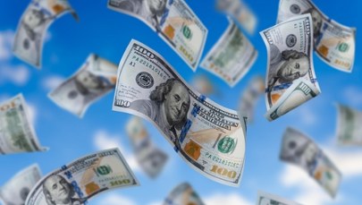 Zemsta 7-latki. Po rodzinnej kłótni wyrzuciła przez okno torbę matki z 88 tys. dolarów