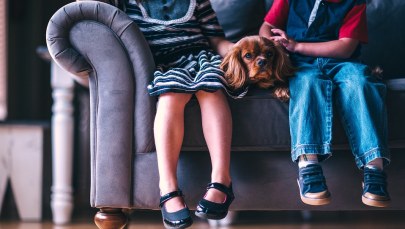 Żeńskie. Męskie. Nijakie