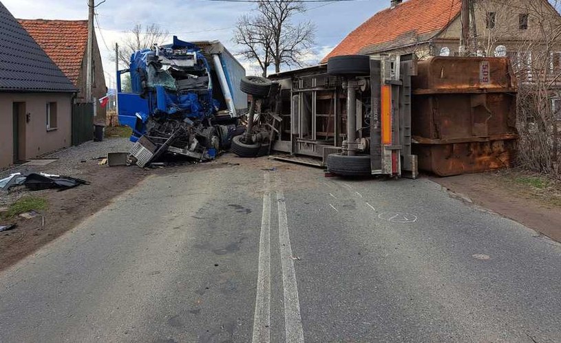 Zerwana przyczepa uderzyła w jadącą z przeciwnej strony ciężarówkę. /Wojewódzki Inspektorat Transportu Drogowego we Wrocławiu /