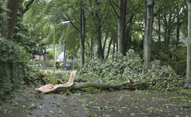 Zerwane dachy, połamane drzewa. Silne burze nad Polską