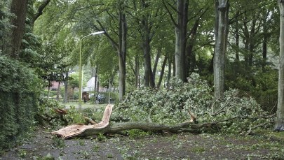 Zerwane dachy, połamane drzewa. Silne burze nad Polską