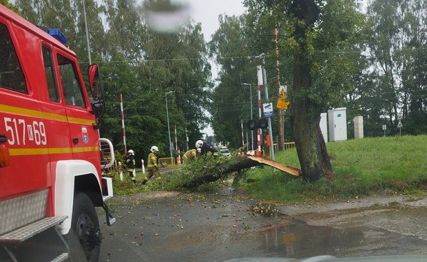 Zerwane dachy, powalone drzewa. Burze i nawałnice nad Polską