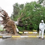 Zerwane dachy, zniszczone szkoły i szpitale. Jamajka po huraganie Melissa