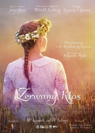 Zerwany Kłos