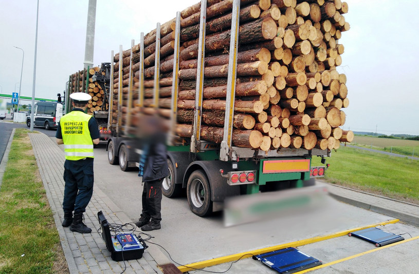 Zespół pojazdów przewoził ponad 24 tony drzewa za dużo /ITD