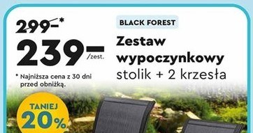 Zestaw wypoczynkowy w Biedronka Home /Biedronka /INTERIA.PL