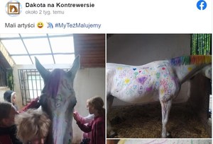 Zgierz: Dzieci pomalowały konia w stajni. "Mali artyści"