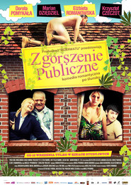 Zgorszenie publiczne