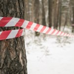 Zgubili się w lesie. Tragiczny finał rodzinnego spaceru