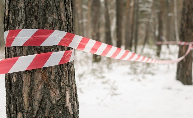 Zgubili się w lesie. Tragiczny finał rodzinnego spaceru