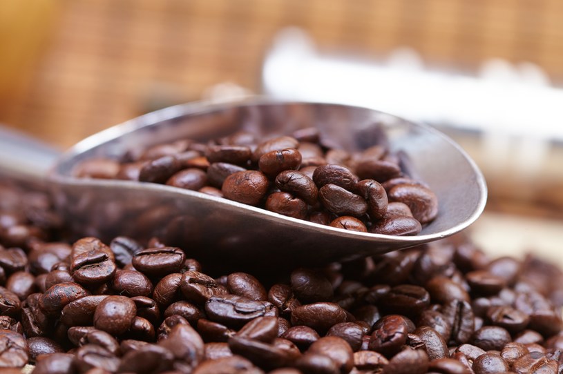 Ziarna kawy zaleca się mielić tuż przed zaparzeniem, aby zapobiec utracie ich aromatu /123RF/PICSEL