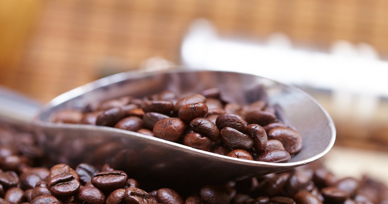 Ziarna kawy zaleca się mielić tuż przed zaparzeniem, aby zapobiec utracie ich aromatu /123RF/PICSEL