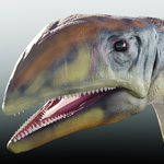 Zidentyfikowano pierwszy gatunek dinozaura żyjącego na Grenlandii