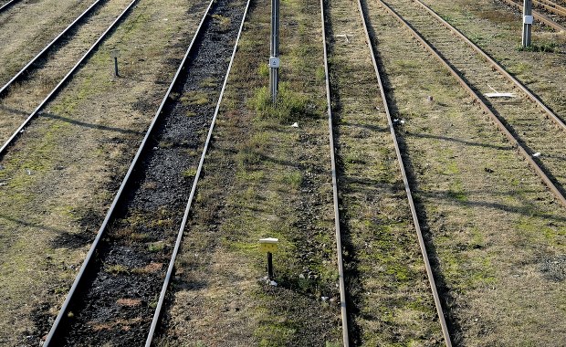 Ziębice: Pociąg potrącił 27-latka. W mieszkaniu znaleziono ciało jego matki i ranną siostrę