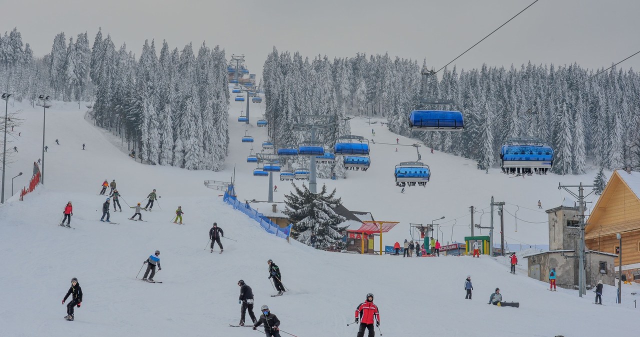Zieleniec Ski Arena /Gerard /Reporter