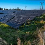 Zielona energia na minusie. URE interweniuje po sierpniowym spadku cen