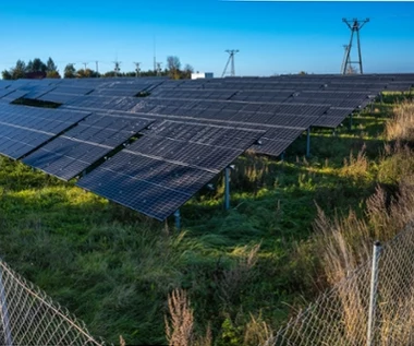 Zielona energia na minusie. URE interweniuje po sierpniowym spadku cen