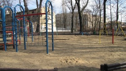 Zielona Góra: Konar spadł na plac zabaw, dzieci niegroźnie poszkodowane