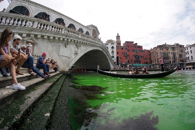 Zielona plama na Canal Grande /ANDREA MEROLA /PAP/EPA