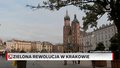 Zielona rewolucja w Krakowie. Będą zmiany na rynku