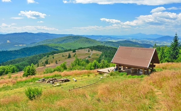 Zielona rewolucja w Małopolsce. Powstaną nowe rezerwaty przyrody 