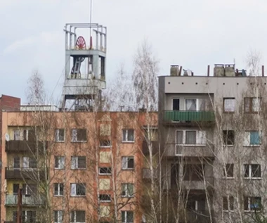 Zielona transformacja. Na skutki najbardziej narażone są trzy powiaty