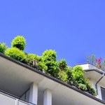 Zielone dachy, czyli jak założyć ogród na dachu?