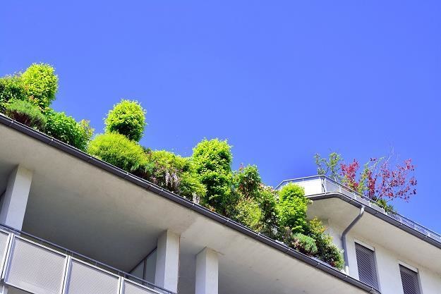Zielone dachy stają się coraz bardziej popularne w Europie i na świecie /&copy;123RF/PICSEL