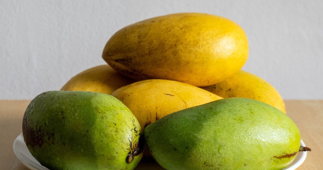 Zielone (jeszcze niedojrzałe) i żółte (dojrzałe) mango /KR8 Design & Studio /Canva Pro