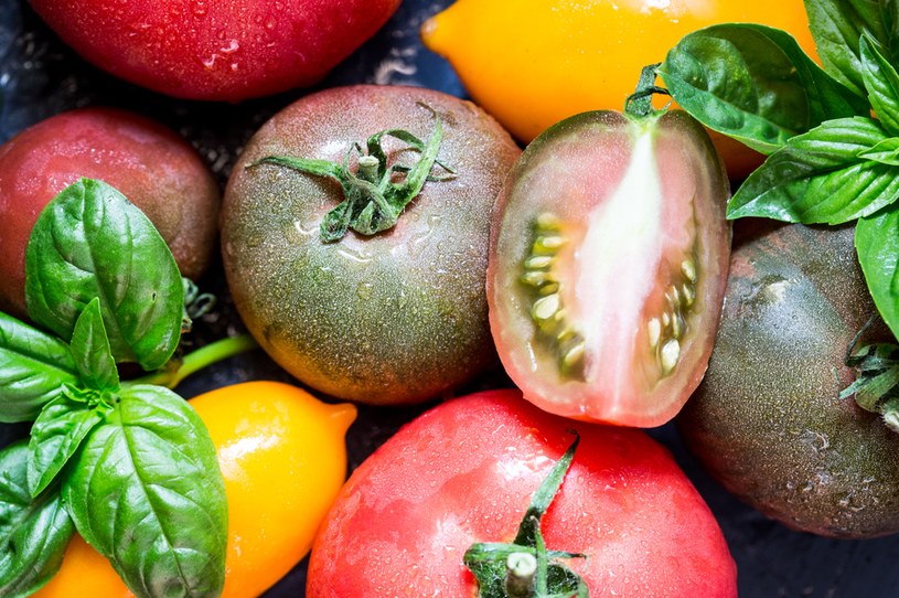 Zielone pomidory zawierają najwięcej toksycznej tomatyny, dlatego nie nadają się do jedzenia na surowo. Świetnie natomiast nadają się do duszenia bądź smażenia - obróbka termiczna neutralizuje szkodliwe substancje /123RF/PICSEL