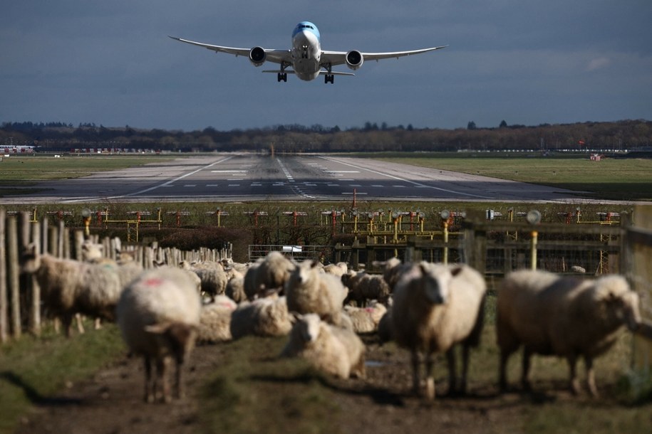 Zielone światło dla drugiego pasa startowego na Gatwick! Przełomowa decyzja brytyjskiego rządu /Henry Nicholls /AFP/EAST NEWS