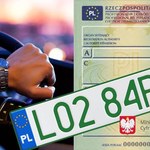 Zielone tablice dla używanych aut spalinowych. Rząd szykuje zmiany