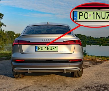 Zielone tablice rejestracyjne w Polsce. Co oznaczają i jakie dają przywileje?