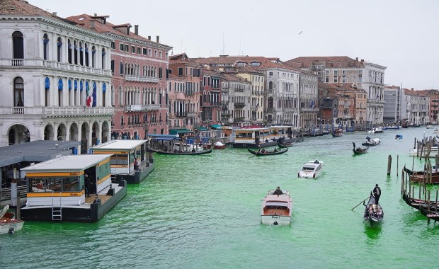 ​Zielone wody Wenecji: Greta Thunberg z zakazem wjazdu do miasta