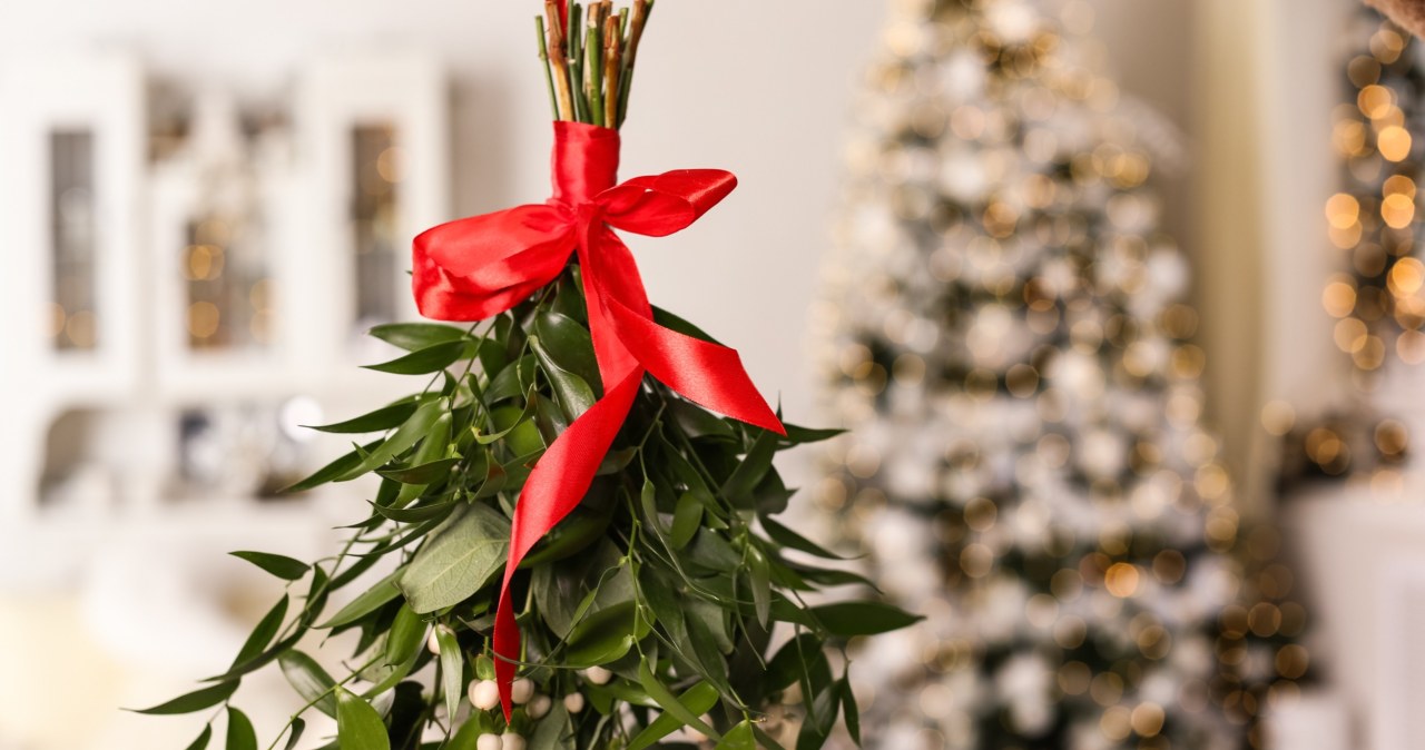 Zielonej jemioły nie może zabraknąć w domu w święta Bożego Narodzenia. To nie tylko dekoracja, a ważny symbol, ale nie należy przynosić jej do domu zbyt wcześnie /123RF/PICSEL
