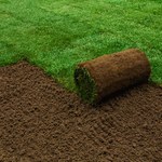 Zielony dywan w ogrodzie. 4 kroki, które przygotują ziemię pod zdrowy i bujny trawnik