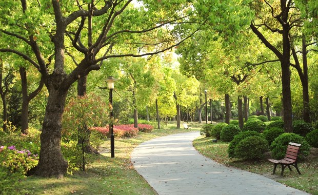 "Zielony Fundusz dla Rzeszowa". Możesz wykupić cegiełkę