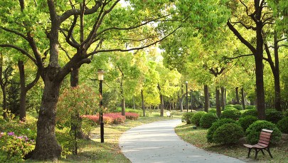 "Zielony Fundusz dla Rzeszowa". Możesz wykupić cegiełkę